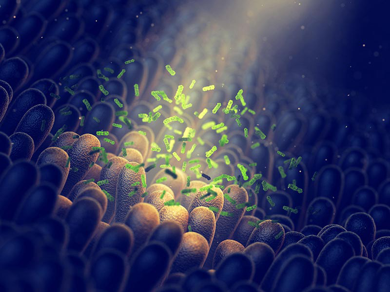 http://www.cunde.com/picture/ueditor/202102/20210207112804.png